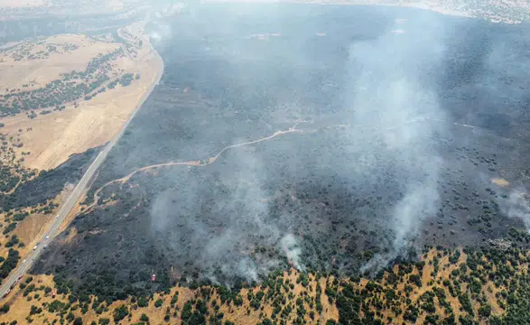 Elazığ Karakoçan’da Orman Yangını: Alevlerle Mücadele Sürüyor