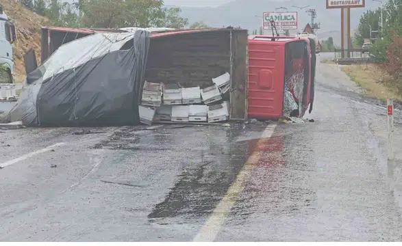Malatya-Adıyaman Yolunda Feci Kaza: Arı Yüklü Kamyon Yan Yattı