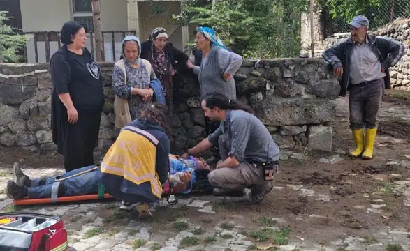 Sivas’ta Ceviz Toplamak İçin Çıktığı Ağaçtan Düştü