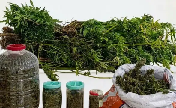 Ordu'da uyuşturucu operasyonunda 1 tutuklama