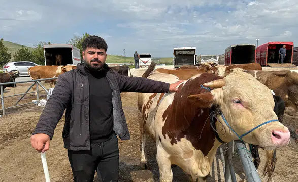 Hayvan Pazarı’nda Kurban Bayramı Yoğunluğu Başladı
