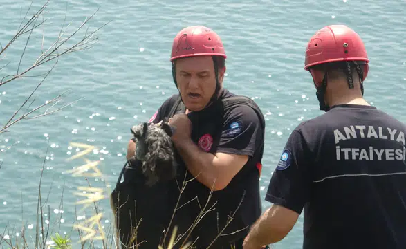 Antalya’da Köpek İçin Film Gibi Kurtarma Operasyonu
