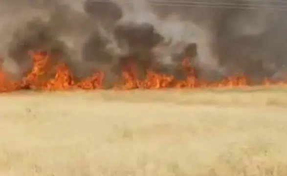 Şanlıurfa'da Korkutan Yangın! Dönümlerce Ekili Alan Bir Anda Küle Döndü