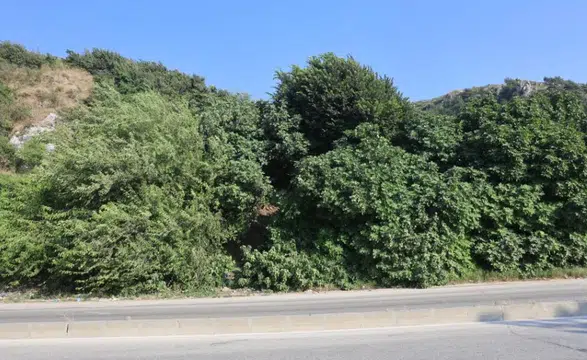 Ağaca asılı halde cesedi bulunan şahsın kimliği belirlendi