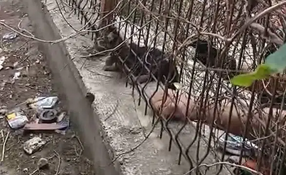 Kırıkkale'de İtfaiyeciden Vatandaşa Olay Yanıt! "İşimizi Yapalım"