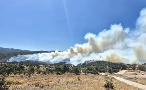 Balıkesir'de Alevlerle Dev Mücadele! Rüzgar Şiddetlendi
