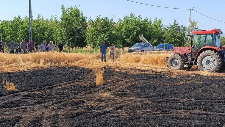 Sivas'ta Ekili Tarla Alevlere Teslim Oldu!