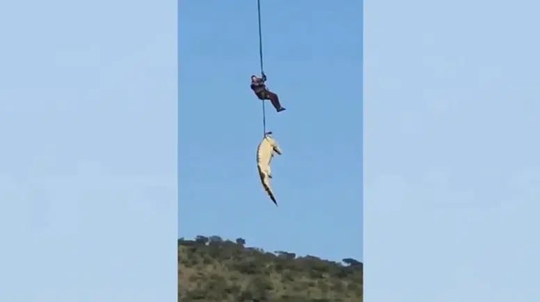 Akılalmaz olay! Selde kaybolan iş insanı timsahın midesinden çıktı