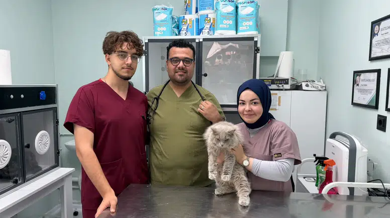 Veterinerde “deprem” etkisi: Sokak kedisi kliniği birbirine kattı