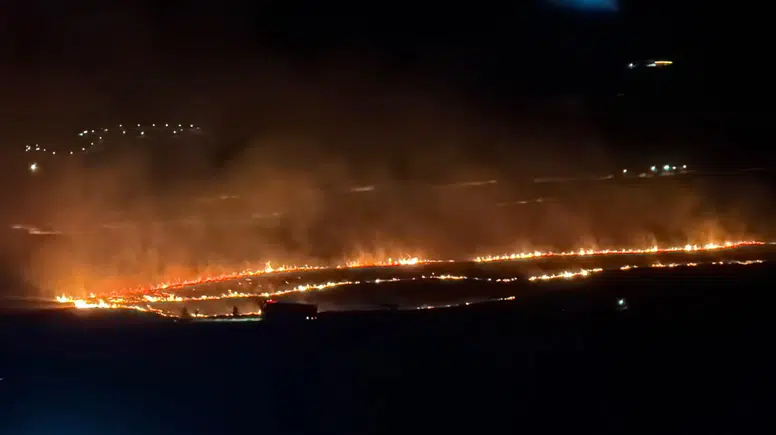 Tatvan ve Ahlat Arasında Gece Alarmı: 300 Dönümlük Alan Kül Oldu!