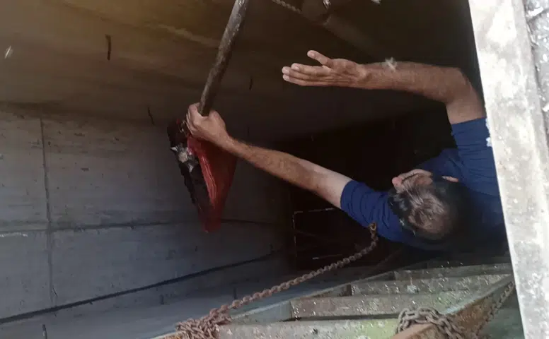Namaz İçin İndi, Yavru Kedinin Hayatını Kurtardı: "Fark Etmeseydik Hayvan Ölecekti"