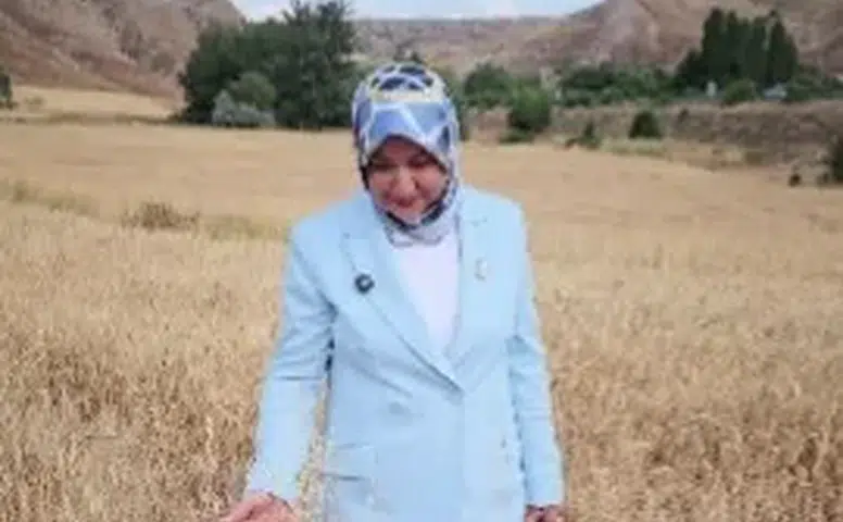 Rukiye Toy Sivas’ta Yılın İlk Hasadına Katıldı
