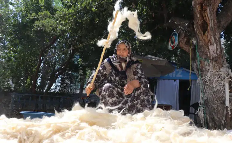Sivas'ta Kış Hazırlıkları Başladı: Yün Yorgan Geleneği Yaşatılıyor
