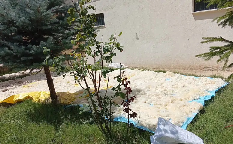 Elyafa İnat Yün Kullanıyorlar: Sivaslı Kadınların Zorlu Kış Hazırlığı