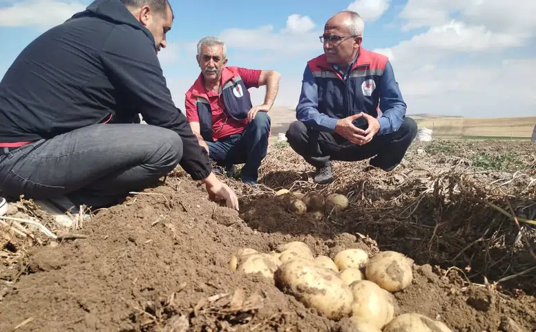 Sivas’ta Tarımsal Üretim İçin İyi Tarım Denetimleri Sürüyor
