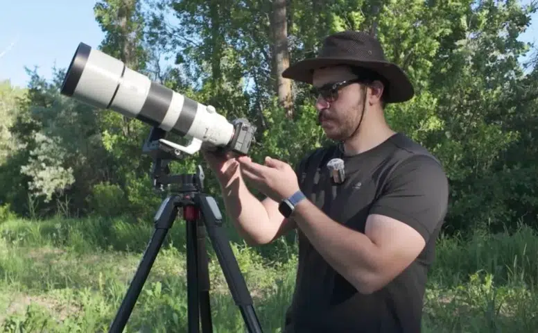 Sivas’ta Avrupa’nın En Büyük Kartalı Görüntülendi: İki Yavrusu da Kadraja Girdi