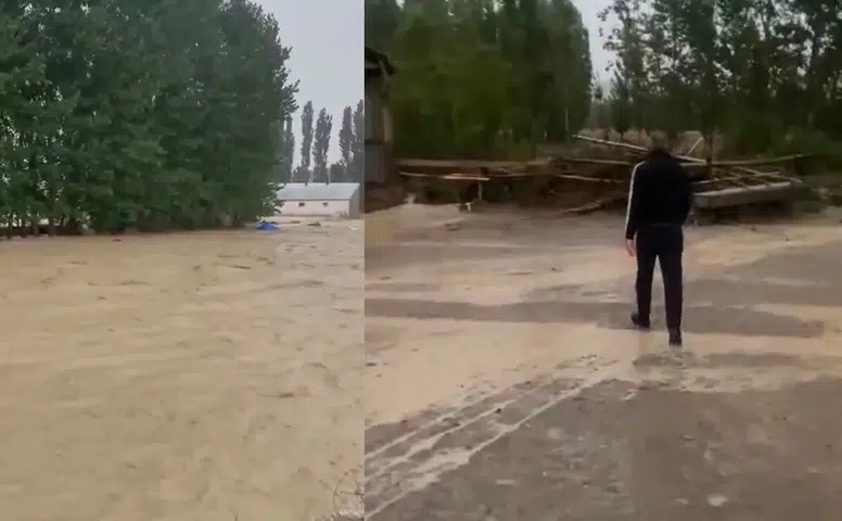 Sivas'ta Şiddetli Sağanak Sele Döndü: Tarım Arazileri Sular Altında