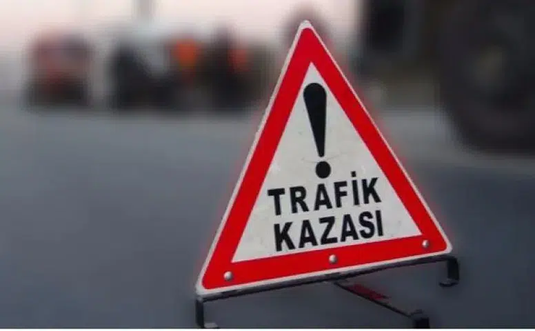 Tavza Köyü'nde Acı Kaza: Yaşlı Adam Olay Yerinde Yaşamını Yitirdi