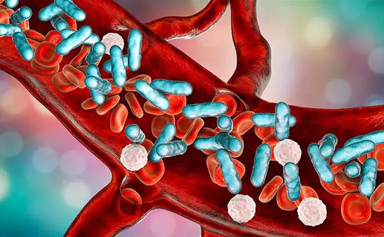 Sivas’ta Uzman Uyardı: Sepsiste Erken Müdahale Hayat Kurtarıyor