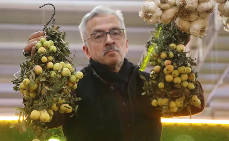 Sivas’ta Üvez Bereketi Bu Yıl Azaldı: Kilosu 200 TL’den Satılıyor