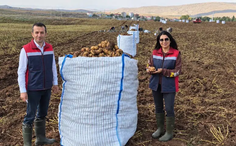 Sivas'ta Tohumluk Patatesler Mercek Altında! Kontroller Sürüyor