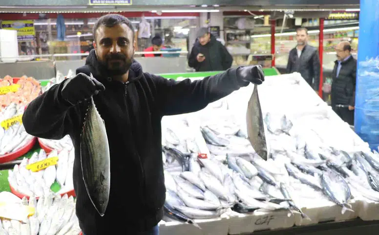 Sivas'ta Palamut Bolluğu: Akdeniz ve Ege'ye Sipariş Yağıyor