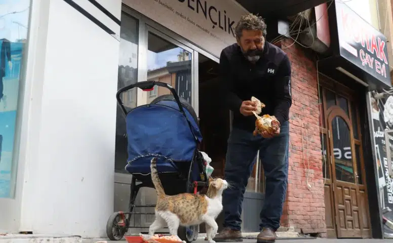 Sivas’ta Yürek Burkan Olay: Anne Kedinin Yavrusuna Son Vedası Kameraya Yansıdı