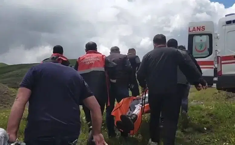 İmranlı’da Ayı Saldırısı: Yaralı Hastaneye Kaldırıldı