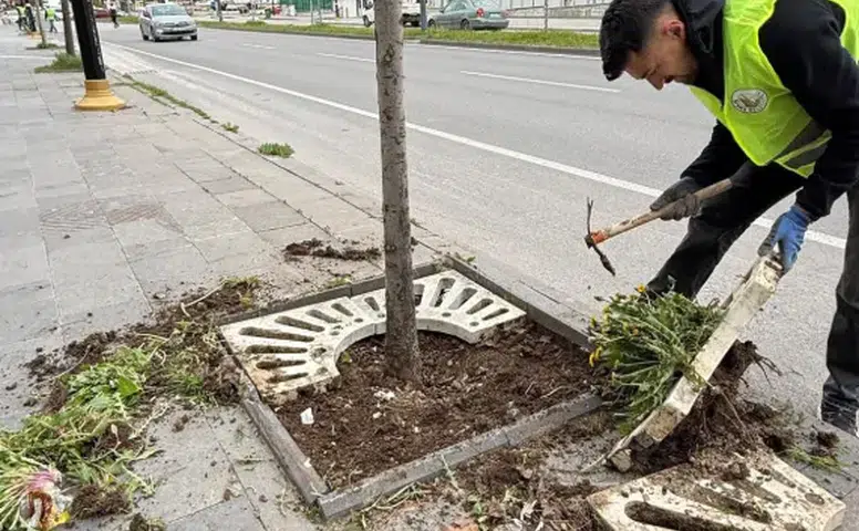 Sivas Belediyesi’nden Yeşil Alanlarda Yoğun Mesai