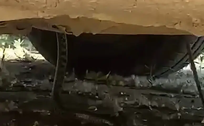 Park Halindeki Aracın Motorundan Dev Yılan Çıktı!