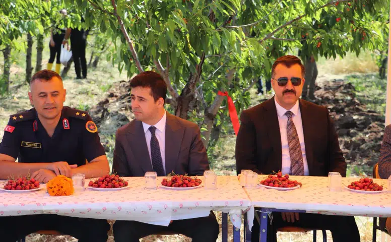 Suşehri’nde Kiraz Hasadı Etkinliği Gerçekleştirildi