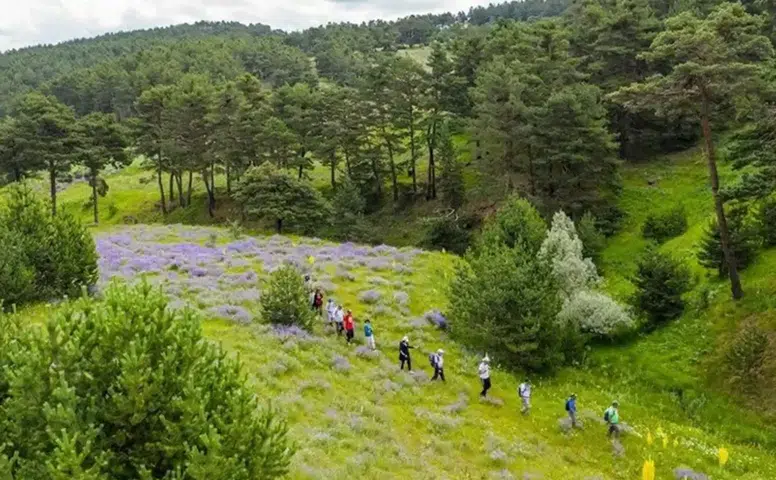 Sivas'ta Flaş Yasak Kararı! Girişler 15 Ekim'e Kadar Durduruldu...