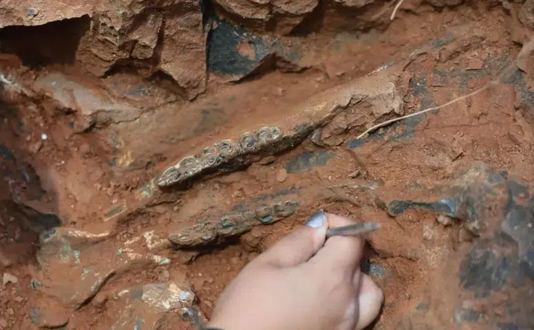 Türkiye'de İlk Kez Denizli'de, İkinci Kez Sivas'ta Bulundu