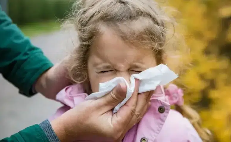 Her 5 çocuktan birini etkiliyor: Geçmeyen burun akıntısına dikkat!