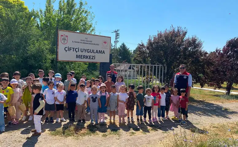 Sivas'ta Minikler Seralara Akın Etti! Kendi Elleriyle Hasat Etti