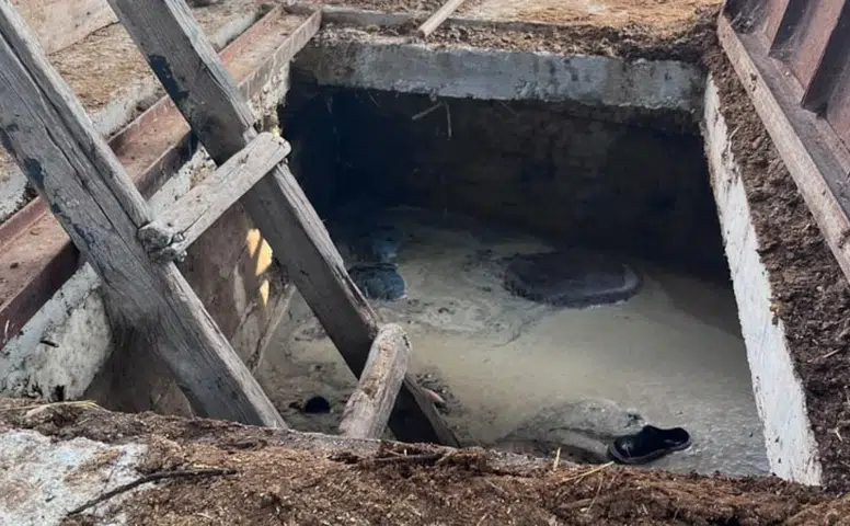 Amasya'da Can Pazarı! Hayvanlarını Kurtarmak İsterken Canından Oldu
