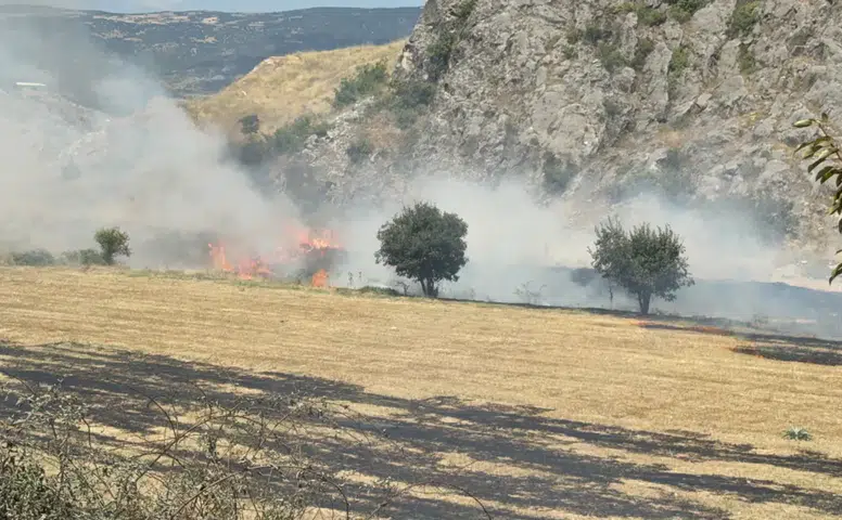 Sivas-Turhal Kara Yolunda Korkutan Yangın: Ekipler Büyümeden Söndürdü!