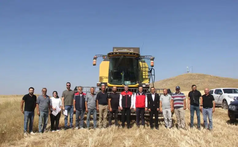 Sivas’ta ilk kez toprakla buluşturulan 5 farklı çeşit buğday hasat edildi