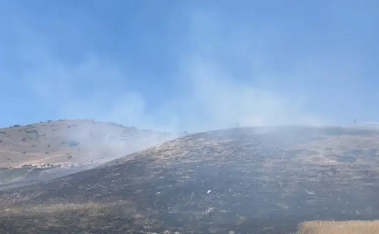 Yıldızeli Güneykaya'da Korkutan Arazi Yangını: Ekipler Anında Müdahale Etti!