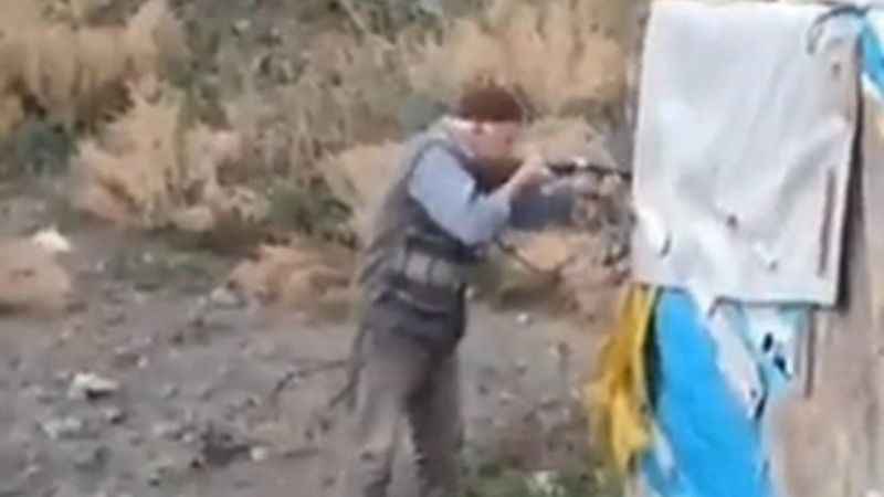 Köpekleri acımasızca vurdu 1