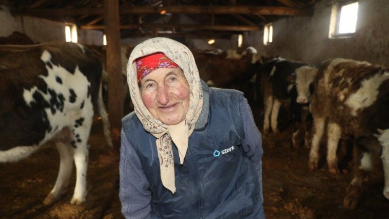 Erzincan'ın Kahraman Ninesi: 40 Yıldır Her Sabah 04:00'da Hayvanlarına Bakıyor 11