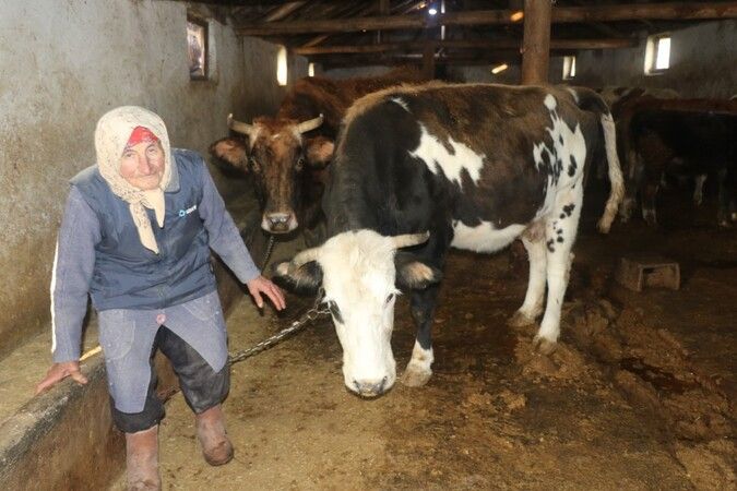 Erzincan'ın Kahraman Ninesi: 40 Yıldır Her Sabah 04:00'da Hayvanlarına Bakıyor 9