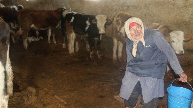 Erzincan'ın Kahraman Ninesi: 40 Yıldır Her Sabah 04:00'da Hayvanlarına Bakıyor 1