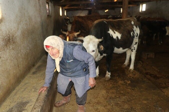 Erzincan'ın Kahraman Ninesi: 40 Yıldır Her Sabah 04:00'da Hayvanlarına Bakıyor 8