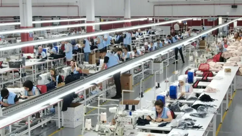 Sivas'ta 2025 Yılında İş Arayanlara Müjde: İŞKUR'dan Binlerce Açık Pozisyon! 5