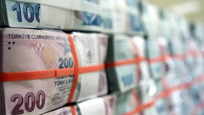 e-Devlet’ten TMSF Hesap Sorgulama Nasıl Yapılır? 4