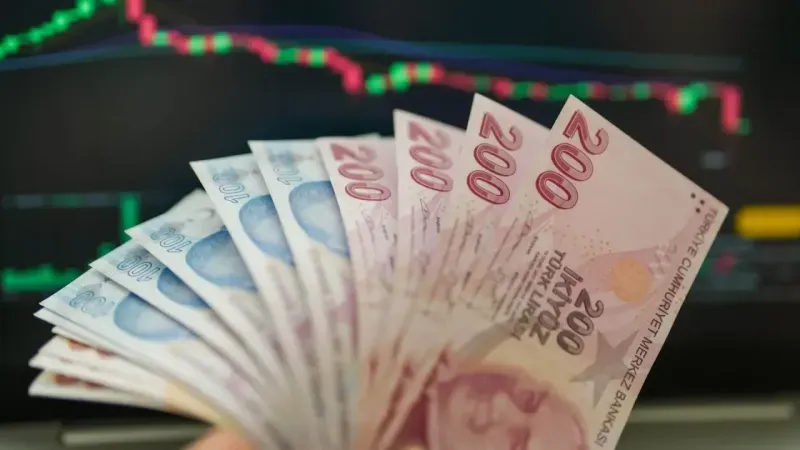 e-Devlet’ten TMSF Hesap Sorgulama Nasıl Yapılır? 2