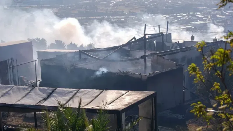 İzmir’de Orman Yangını Felaketi 4