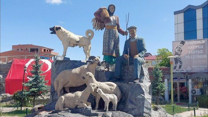 Kangal'da Sıcaklıklar Yükseliyor: Hazır Olun! 1