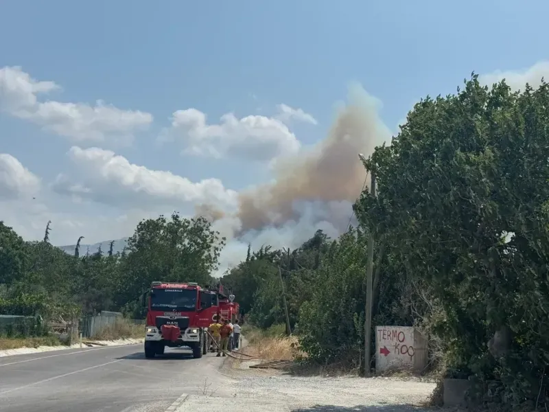 Çanakkale’de Korkutan Yangın! Alevler Ormana, Hastaneye ve Üniversiteye Kadar Ulaştı 3